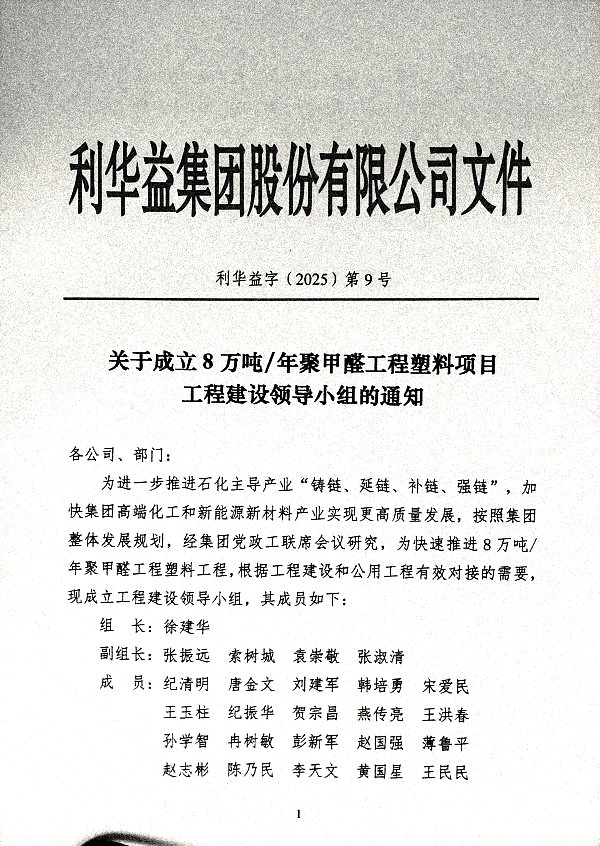 关于成立8万吨/年聚甲醛工程塑料项目工程建设领导小组的通知