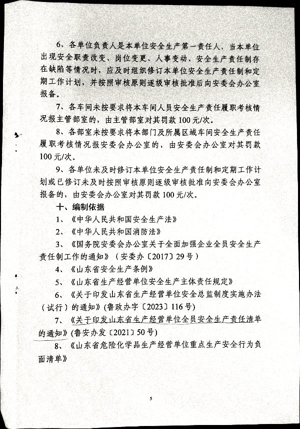 全员安全生产责任制管理规定（试行）