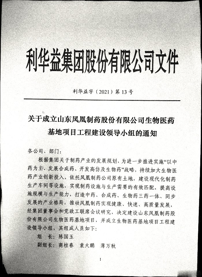 关于成立山东凤凰制药股份有限公司生物医药基础工程建设领导小组的通知