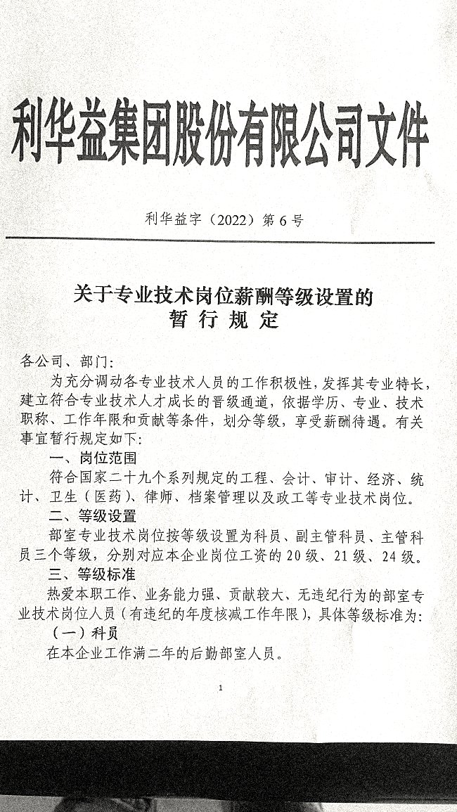 关于专业技术职称管理、薪酬等级设置的暂行规定