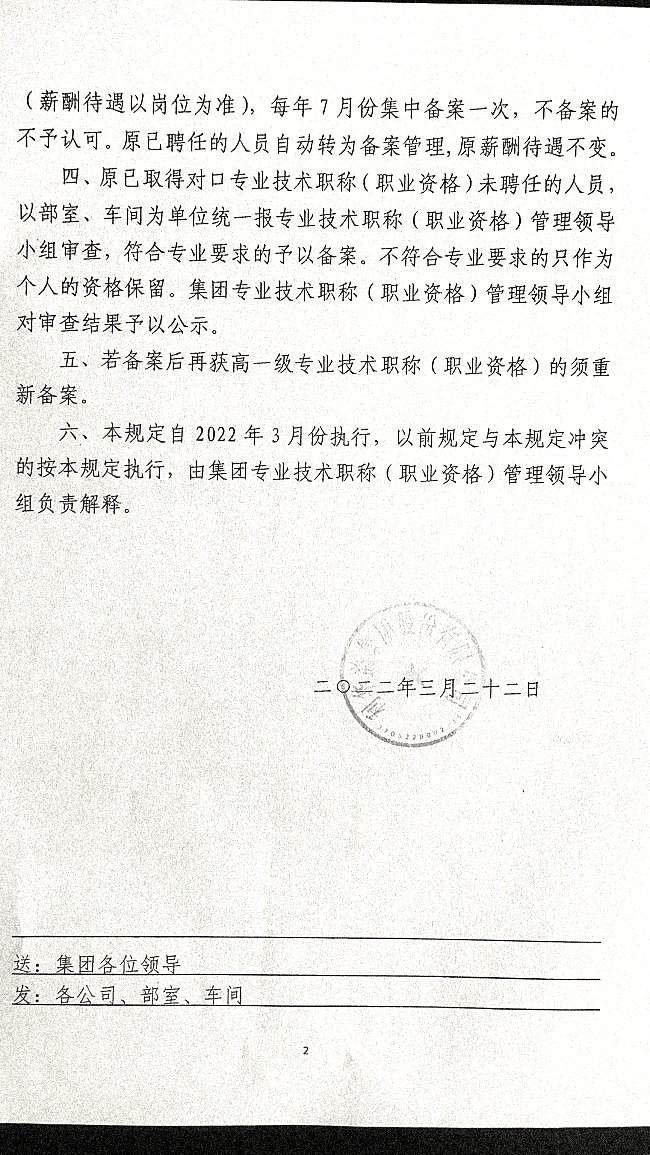 关于专业技术职称管理、薪酬等级设置的暂行规定