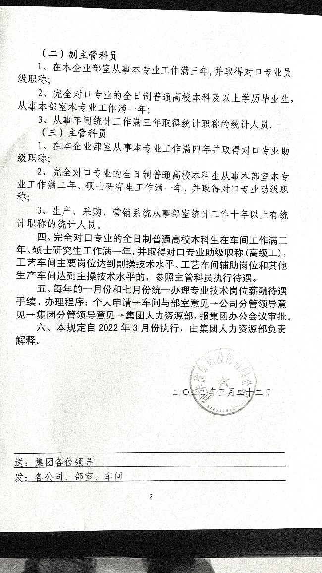 关于专业技术职称管理、薪酬等级设置的暂行规定